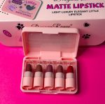 رژلب پک 5 تایی مات DragonRanee Matte Lipstick بسته 12پک 5 تایی - Image 3